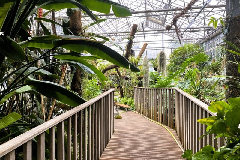 Image d'arrière-plan de l'activité